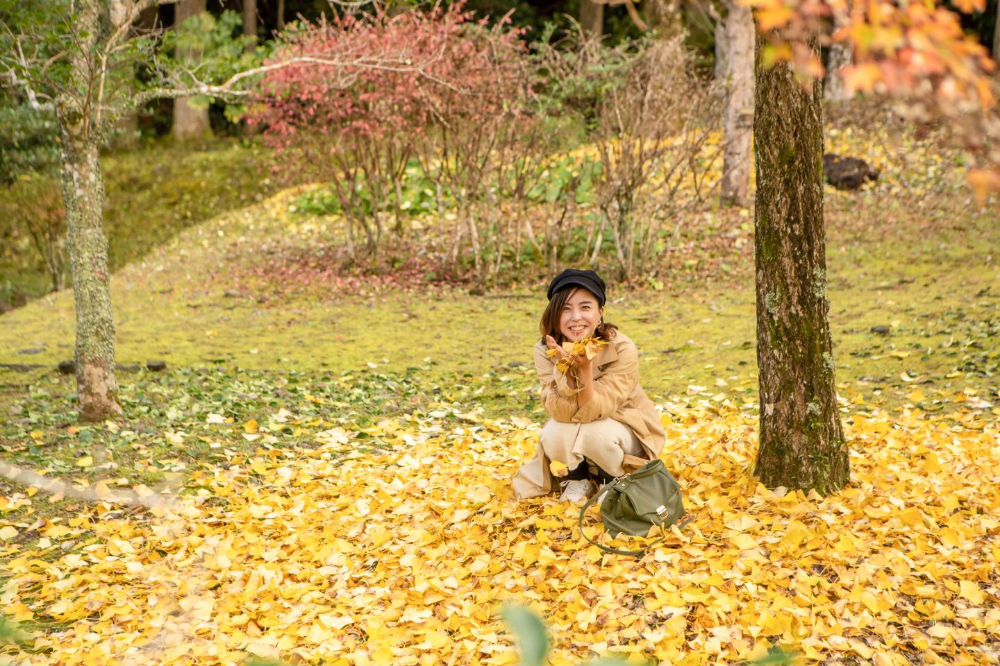 メインビジュアル3