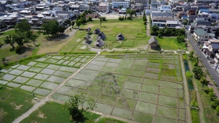 復原水田