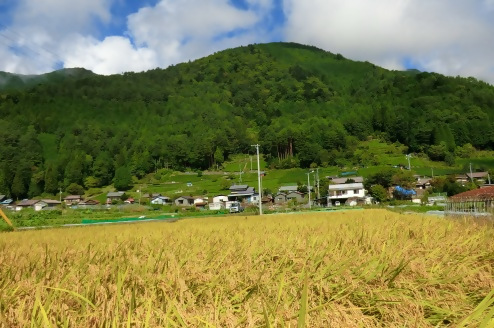 おっかちゃんのみせから見た風景