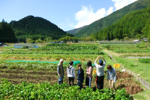 おっかちゃんのみせから見た風景2