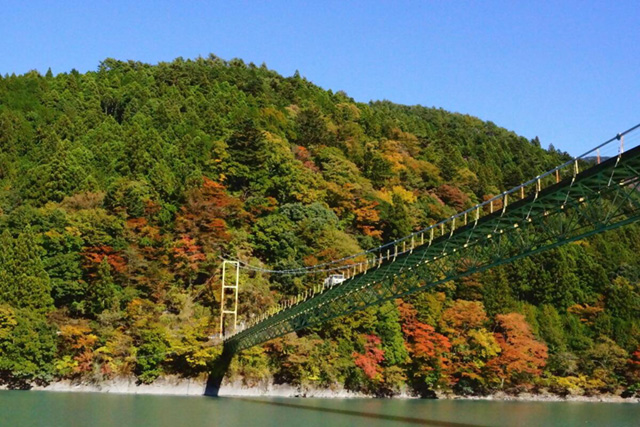 井川大橋3