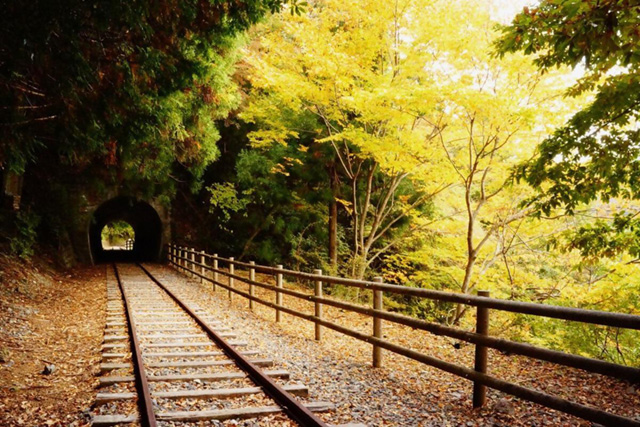 廃線小路
