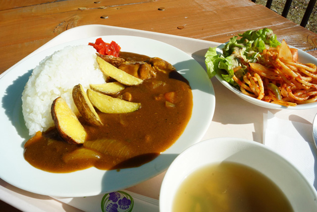 井川ビジターセンター料理