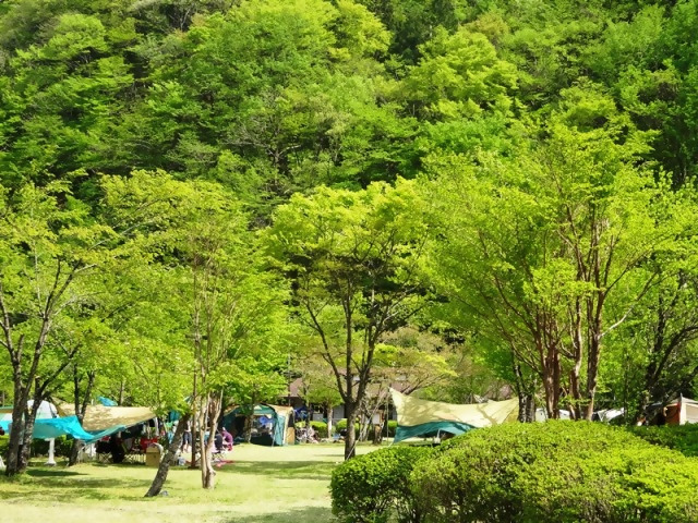 井川オートキャンプ場の様子