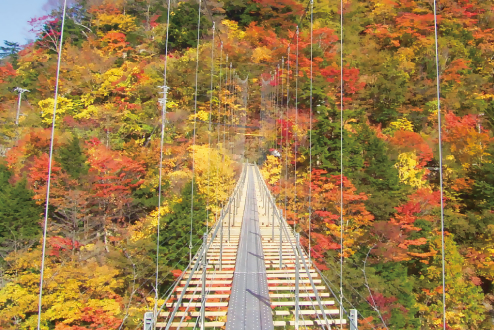 畑薙大吊橋