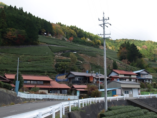 大間縁側お茶カフェ周辺の風景