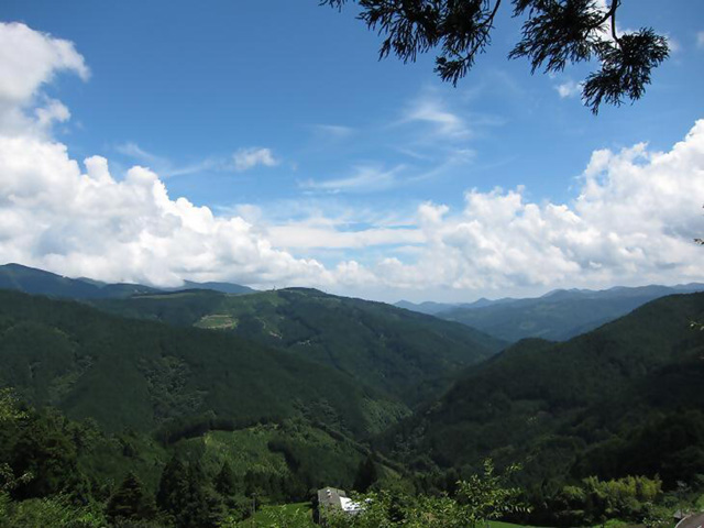 大間縁側お茶カフェ周辺の風景2