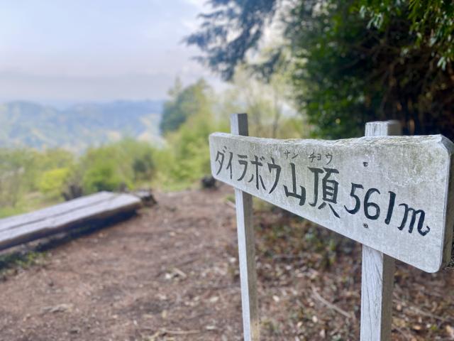 山頂の様子