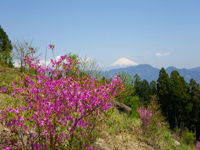 ダイラボウからの景色