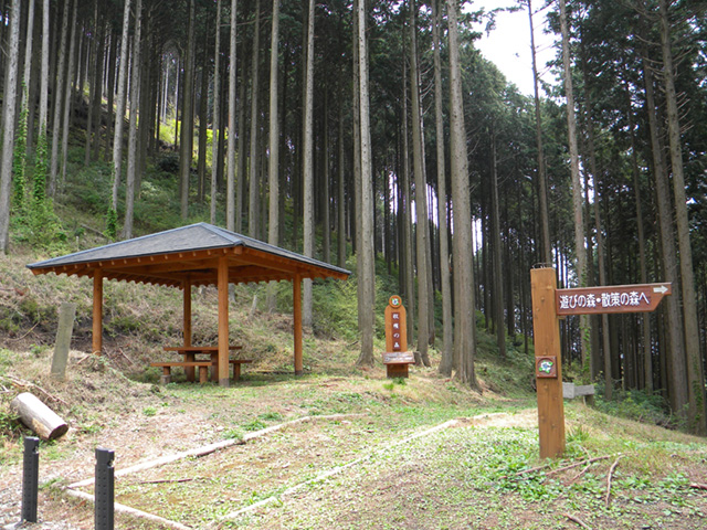 高山・市民の森の様子2