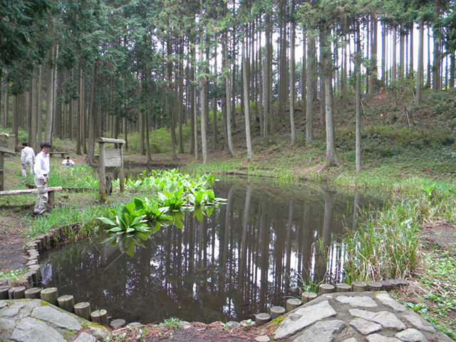 高山・市民の森の様子3