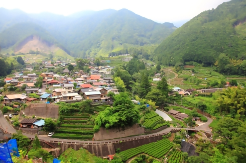 有東木展望地からの景色
