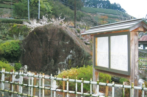狐石