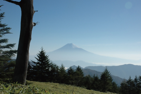 山伏からの景色