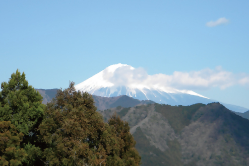杉尾山からの景色