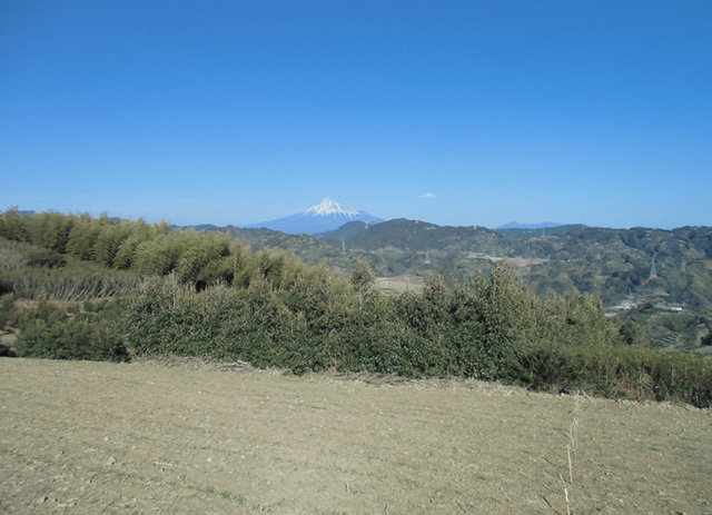 高山からの景色