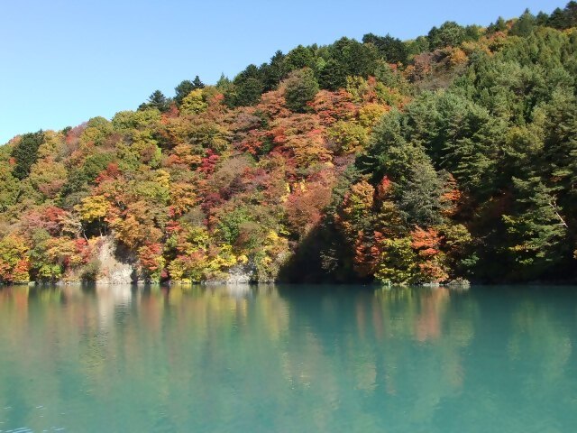 井川湖の紅葉