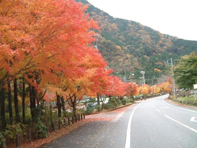 梅ケ島コンヤの里の紅葉
