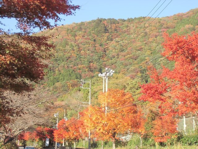 梅ケ島コンヤの里の紅葉2
