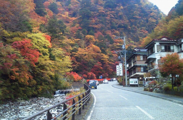 梅ケ島温泉街の紅葉