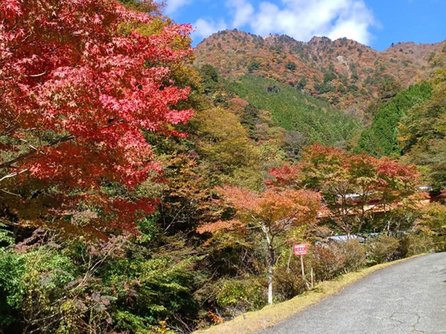 梅ケ島温泉街の紅葉2