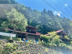 井川10写真