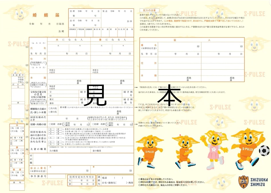 見本