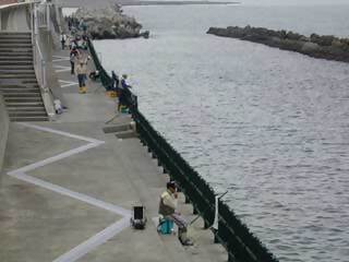 釣り護岸