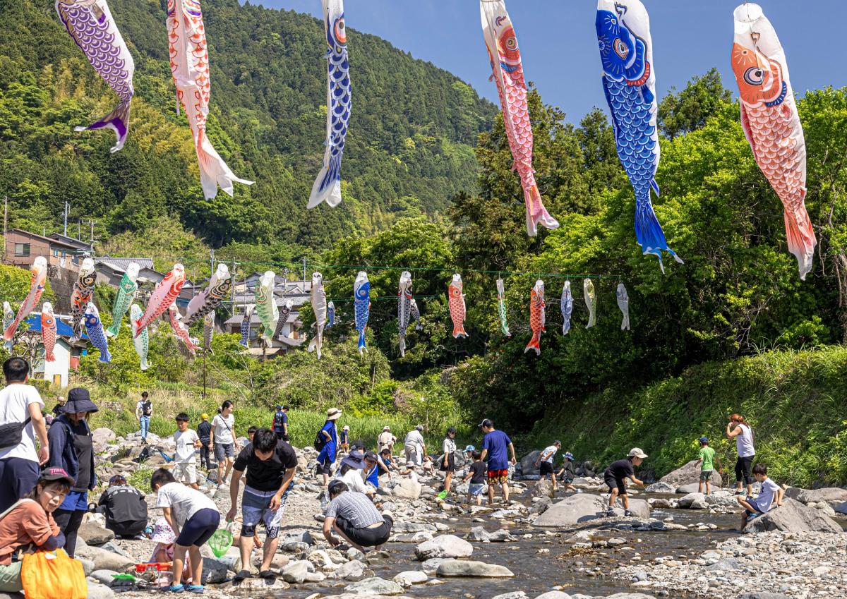 由比川の上を泳ぐこいのぼりと川遊びをする人たち
