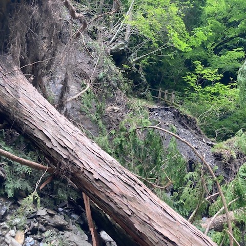 houraku