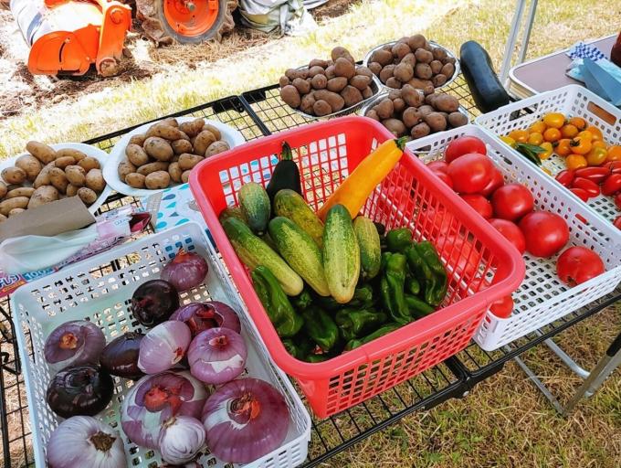 井川の夏野菜