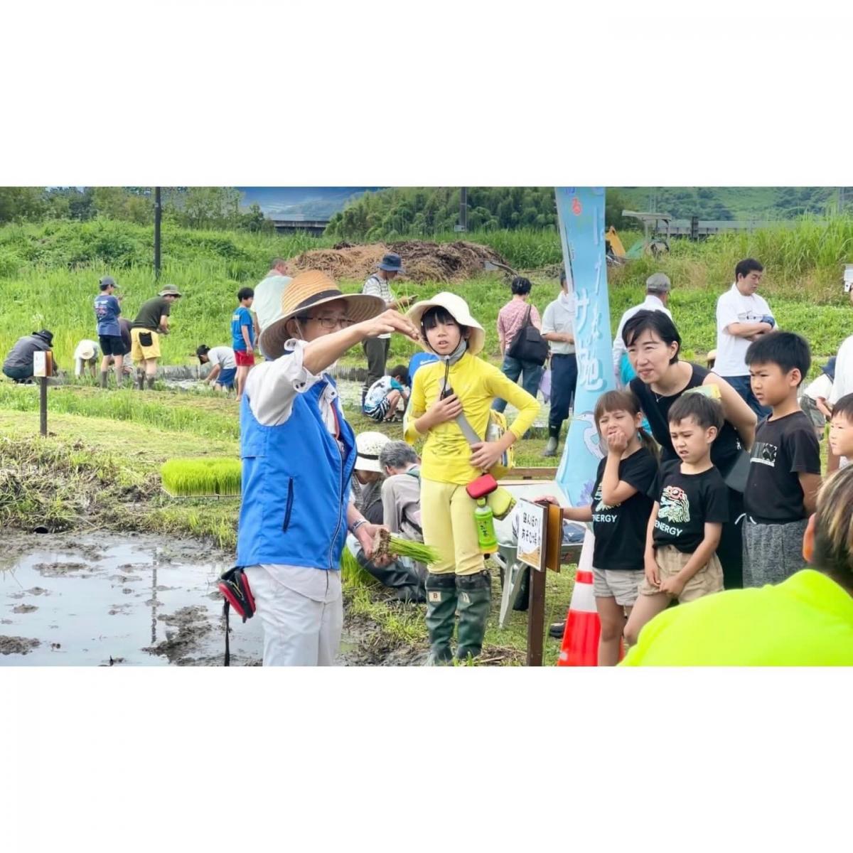麻機緑地での活動写真