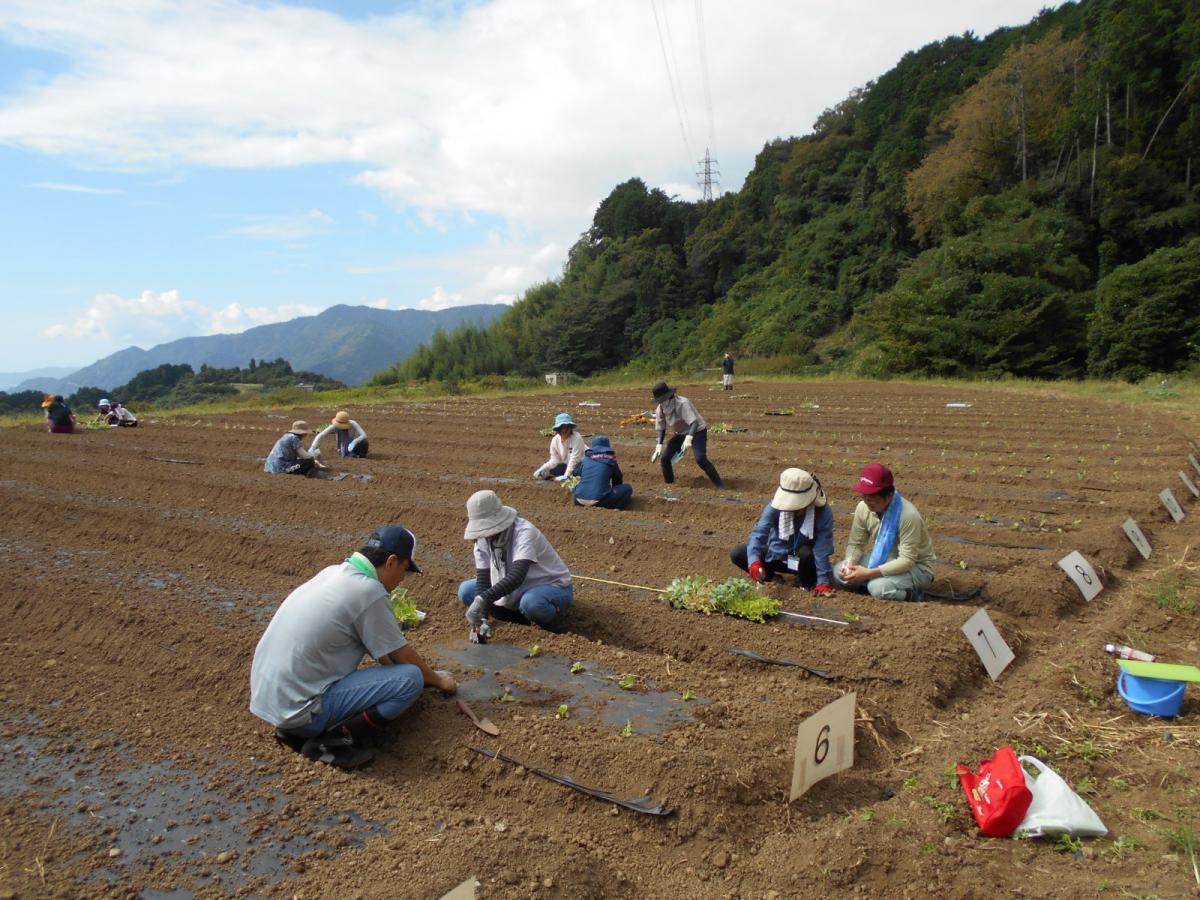 野菜づくり体験の様子1