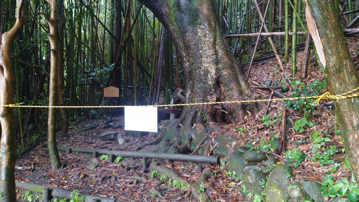 立入禁止