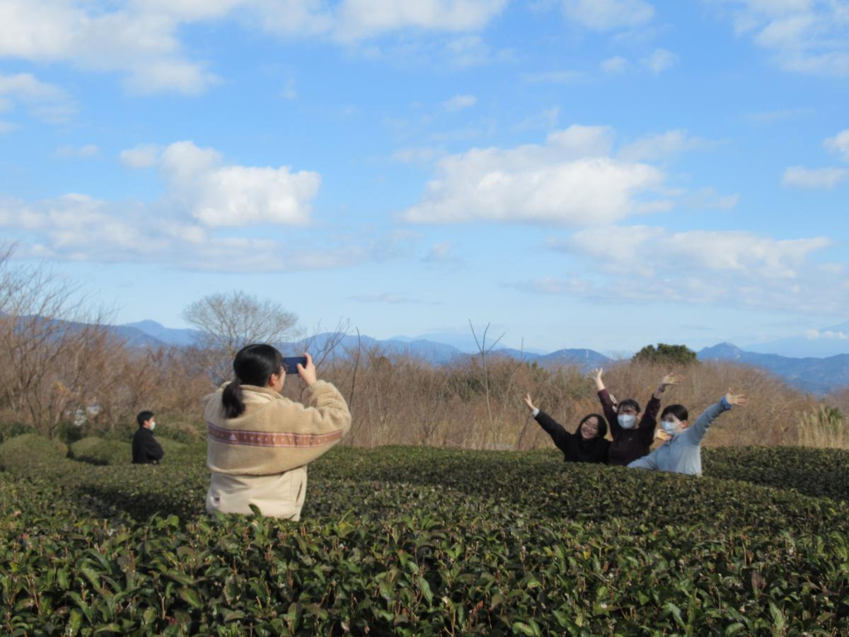お茶畑で写真を撮る塾生の様子