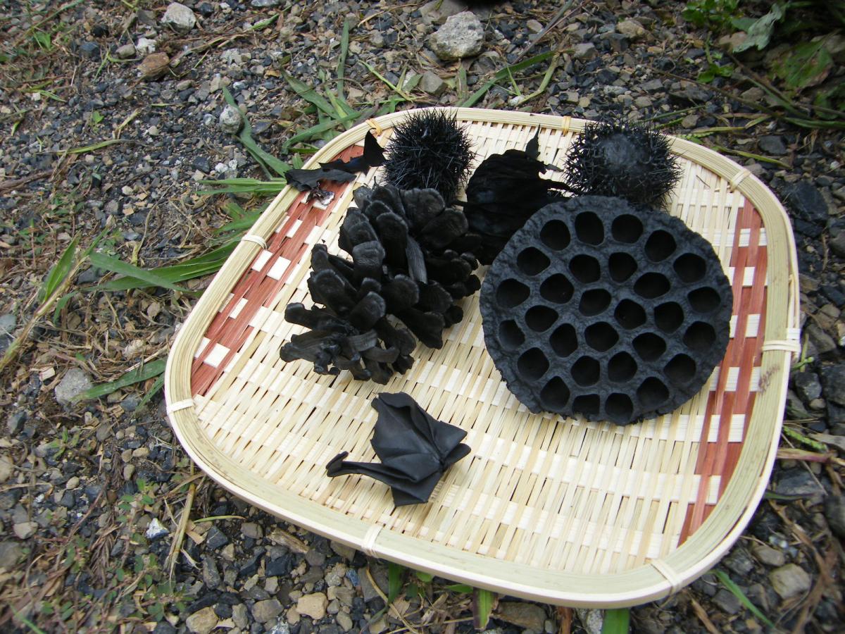 hanasumi