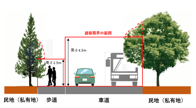 せん定が必要な範囲について