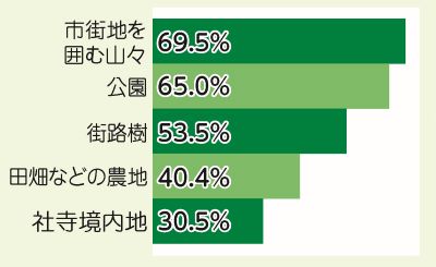 みどり結果1