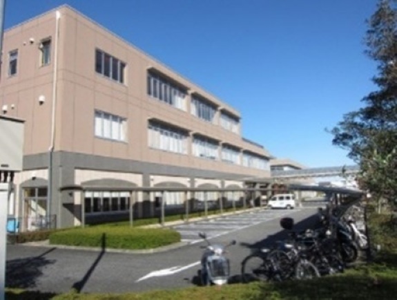 HC画像
