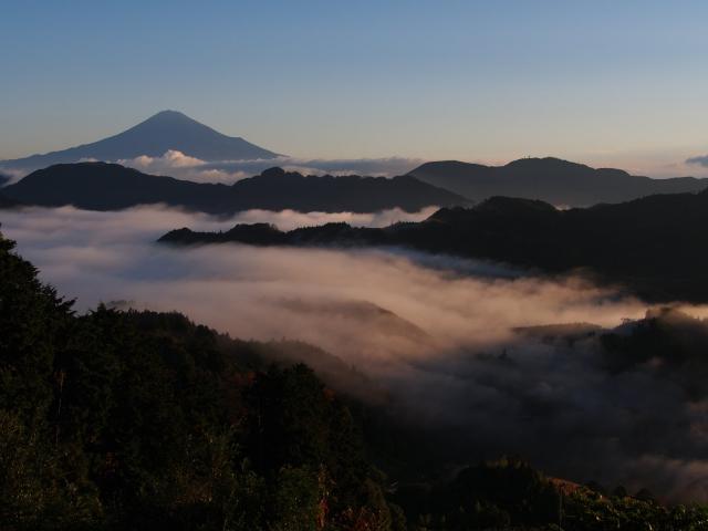 吉原からの景色