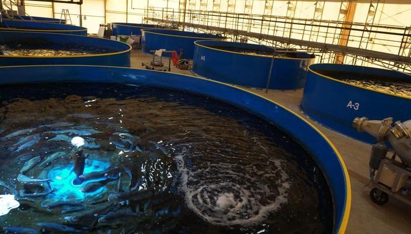三保地下海水養殖センター