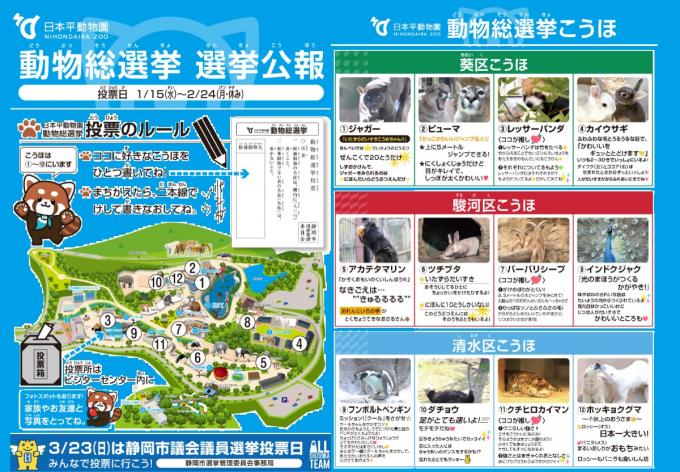 動物総選挙