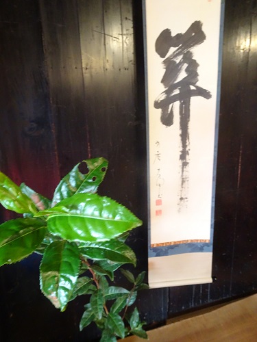 掛け軸と植物