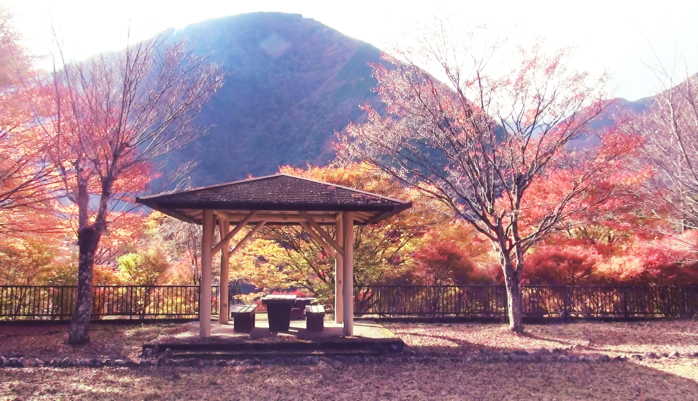 山間の休憩所と紅葉