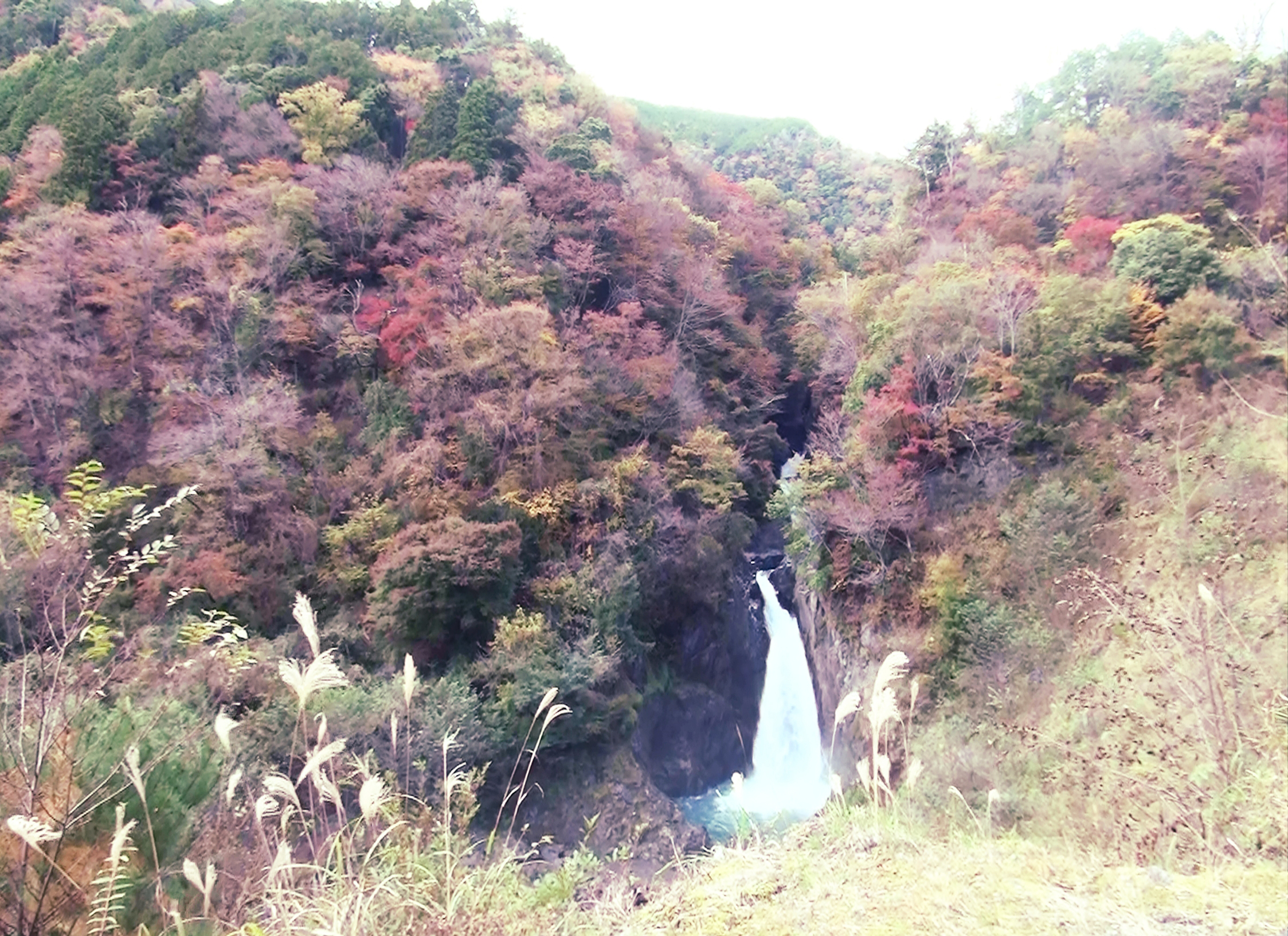 滝と紅葉