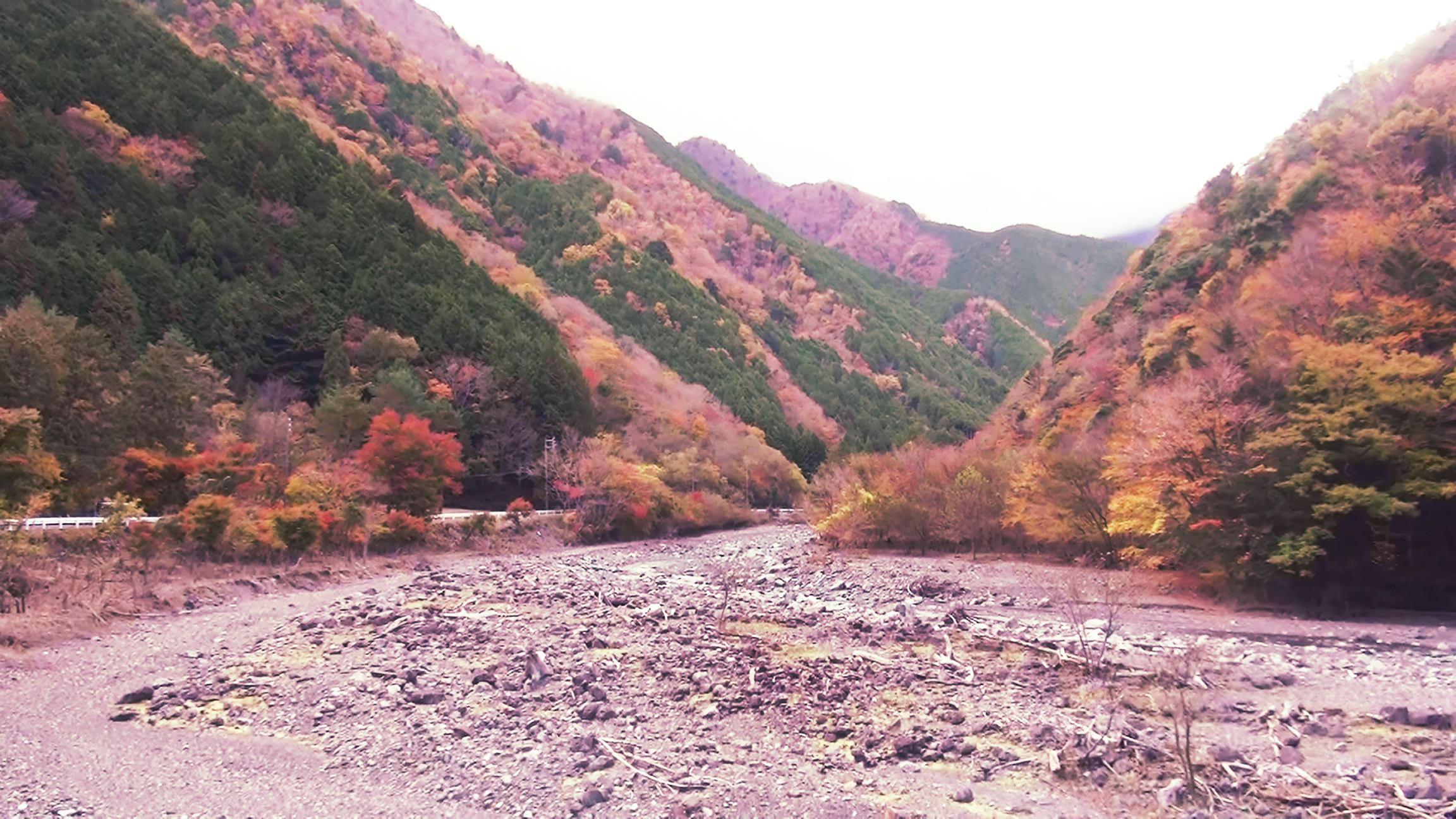 河原と紅葉
