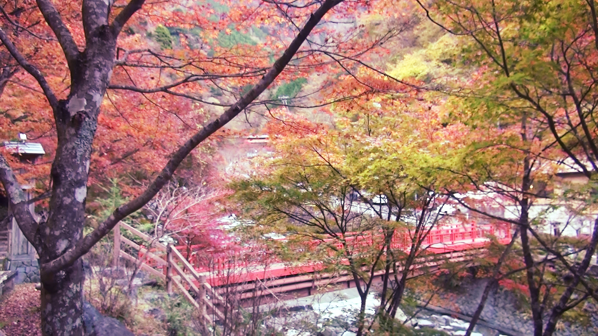 川にかかる橋と紅葉