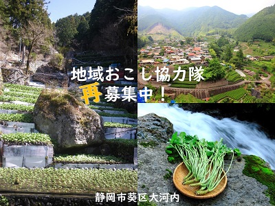 協力隊再募集サムネイル