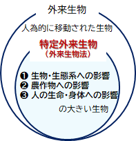 外来生物・特定外来生物