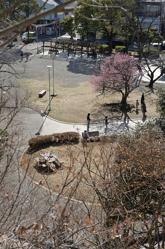 高台から公園を見下ろす写真